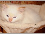 2 mesi 07