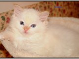 2 mesi 08