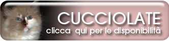 CUCCIOLATE - Clicca qui per le disponibilità