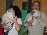 WCF CAT OLIMPIA 2012