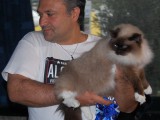 WCF CAT OLIMPIA 2012