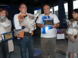 WCF CAT OLIMPIA 2012