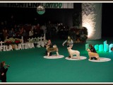 Busto Arsizio 2012