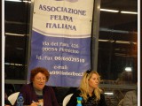 Busto Arsizio 2012
