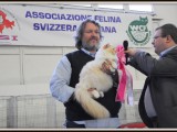 Domenica 31 marzo 2013 Mondiale Lugano 076